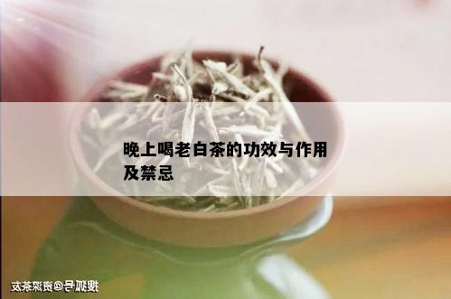 晚上喝老白茶的功效与作用及禁忌