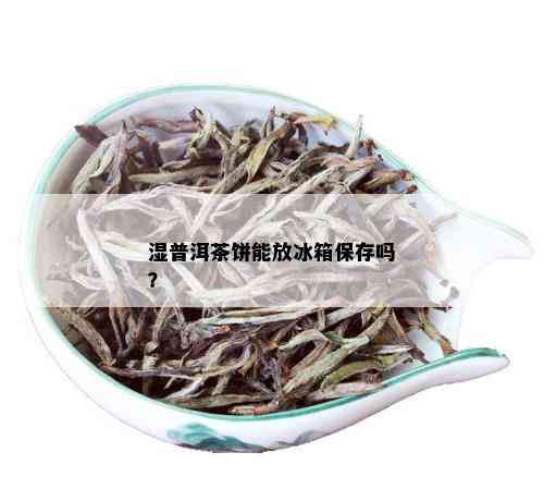 湿普洱茶饼能放冰箱保存吗？