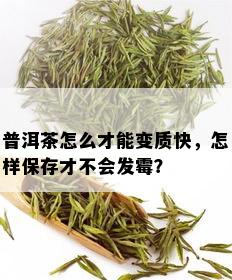 普洱茶怎么才能变质快，怎样保存才不会发霉？