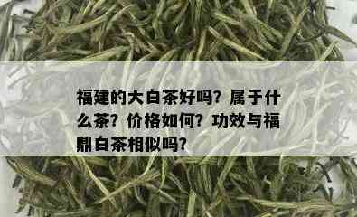 福建的大白茶好吗？属于什么茶？价格如何？功效与福鼎白茶相似吗？