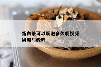 新白茶可以焖泡多久啊视频讲解与教程