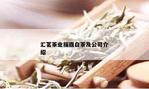 汇茗茶业福鼎白茶及公司介绍