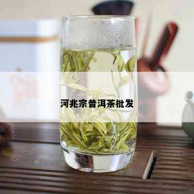 河兆宗普洱茶批发