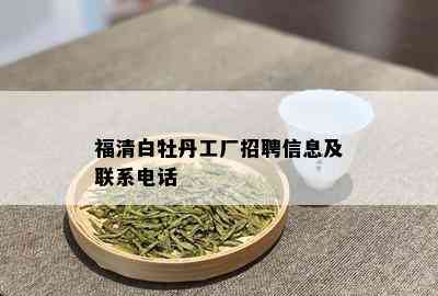 福清白牡丹工厂招聘信息及联系电话