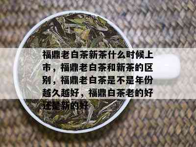 福鼎老白茶新茶什么时候上市，福鼎老白茶和新茶的区别，福鼎老白茶是不是年份越久越好，福鼎白茶老的好还是新的好