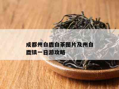 成都州白鹿白茶图片及州白鹿镇一日游攻略