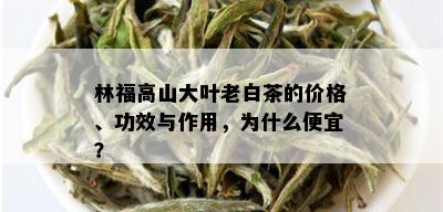 林福高山大叶老白茶的价格、功效与作用，为什么便宜？