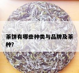 茶饼有哪些种类与品牌及茶种？