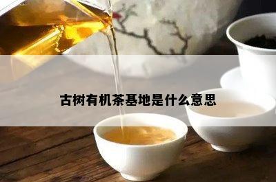 古树有机茶基地是什么意思