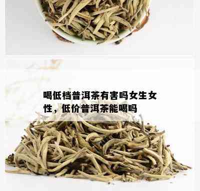 喝低档普洱茶有害吗女生女性，低价普洱茶能喝吗