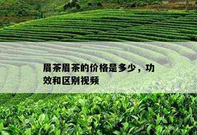 眉茶眉茶的价格是多少，功效和区别视频