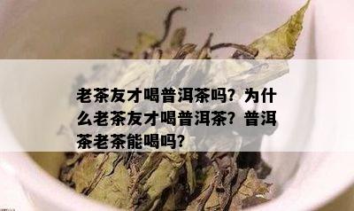 老茶友才喝普洱茶吗？为什么老茶友才喝普洱茶？普洱茶老茶能喝吗？