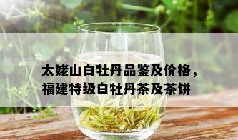 太姥山白牡丹品鉴及价格，福建特级白牡丹茶及茶饼