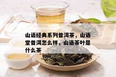 山语经典系列普洱茶，山语堂普洱怎么样，山语茶叶是什么茶