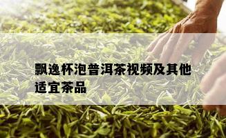 飘逸杯泡普洱茶视频及其他适宜茶品