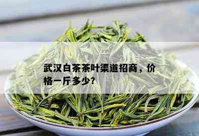 武汉白茶茶叶渠道招商，价格一斤多少？