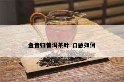 金昔归普洱茶叶-口感如何