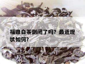 福鼎白茶倒闭了吗？最近现状如何？