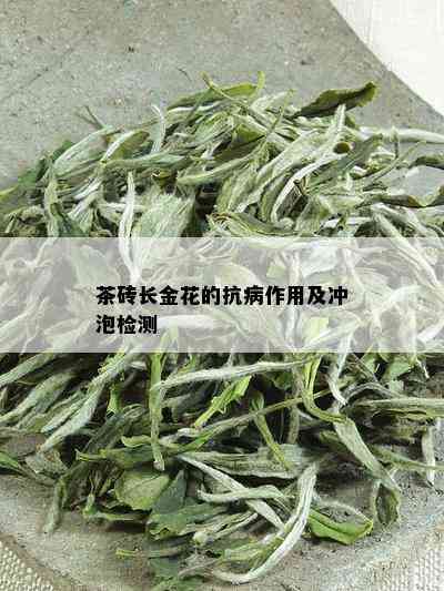 茶砖长金花的抗病作用及冲泡检测