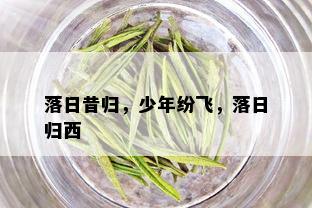 落日昔归，少年纷飞，落日归西