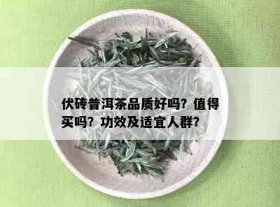 伏砖普洱茶品质好吗？值得买吗？功效及适宜人群？