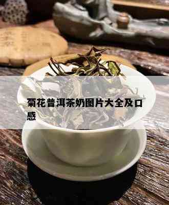 菊花普洱茶奶图片大全及口感