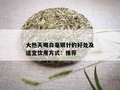 大热天喝白毫银针的好处及适宜饮用方式：推荐