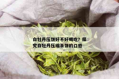 白牡丹压饼好不好喝吃？探究白牡丹压缩茶饼的口感