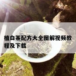 植白茶配方大全图解视频教程及下载