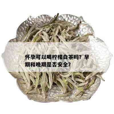 怀孕可以喝柠檬白茶吗？早期和晚期是否安全？