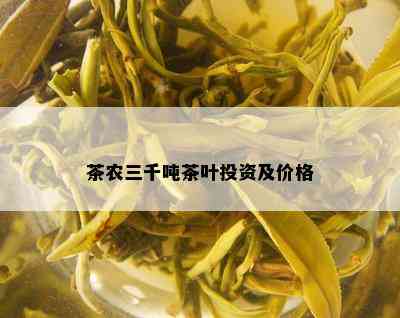 茶农三千吨茶叶投资及价格