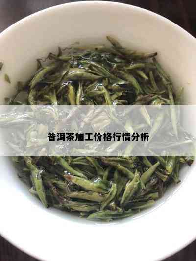 普洱茶加工价格行情分析