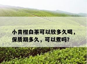 小青柑白茶可以放多久喝，保质期多久，可以煮吗？