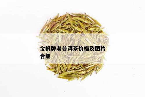 金帆牌老普洱茶价格及图片合集