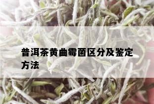 普洱茶黄曲霉菌区分及鉴定方法