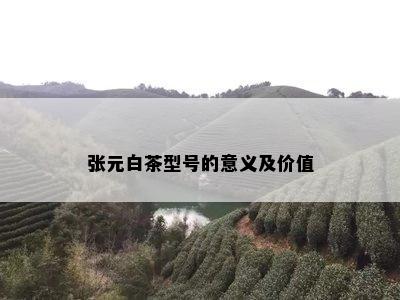 张元白茶型号的意义及价值