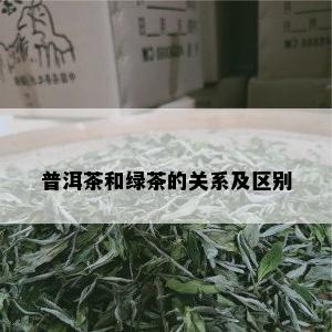 普洱茶和绿茶的关系及区别