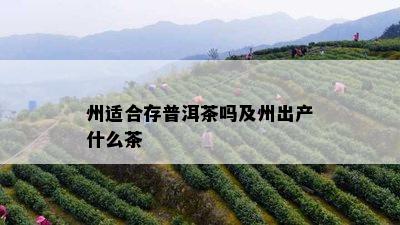 州适合存普洱茶吗及州出产什么茶