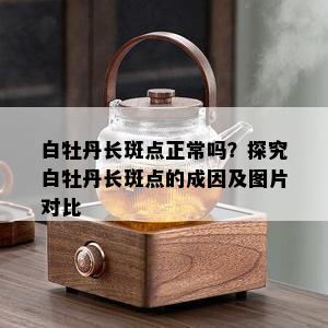 白牡丹长斑点正常吗？探究白牡丹长斑点的成因及图片对比