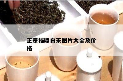 正宗福鼎白茶图片大全及价格