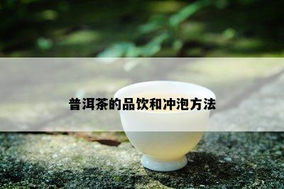 普洱茶的品饮和冲泡方法