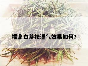 福鼎白茶祛湿气效果如何？