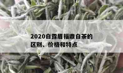 2020白露眉福鼎白茶的区别、价格和特点