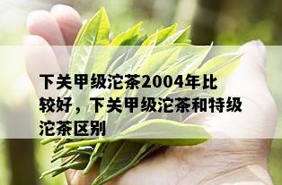 下关甲级沱茶2004年比较好，下关甲级沱茶和特级沱茶区别