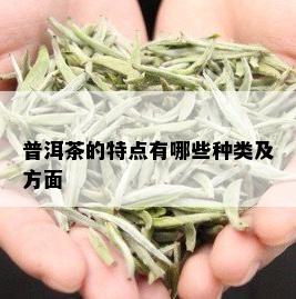 普洱茶的特点有哪些种类及方面