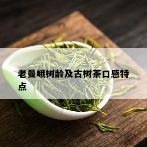 老曼峨树龄及古树茶口感特点