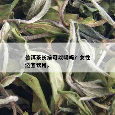 普洱茶长痘可以喝吗？女性适宜饮用。