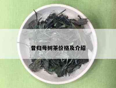 昔归母树茶价格及介绍