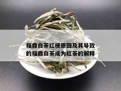 福鼎白茶红梗原因及其导致的福鼎白茶成为红茶的解释