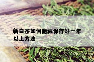 新白茶如何储藏保存好一年以上方法